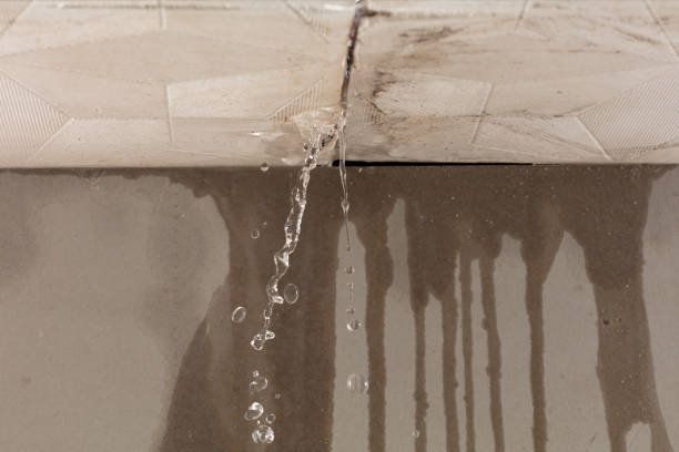 Professional Flood Damage Cleanup technician working in Woodstock, OH
